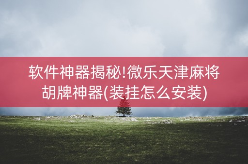 软件神器揭秘!微乐天津麻将胡牌神器(装挂怎么安装)