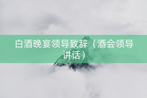 白酒晚宴领导致辞（酒会领导讲话）