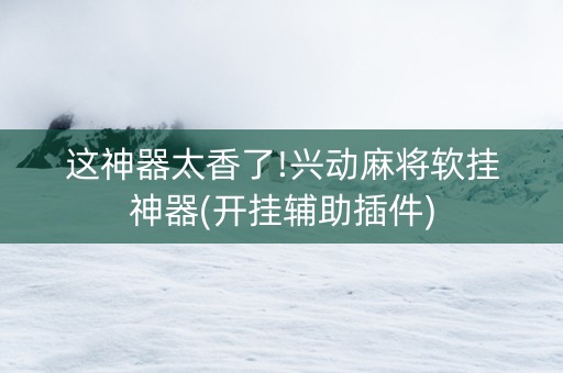 这神器太香了!兴动麻将软挂神器(开挂辅助插件)