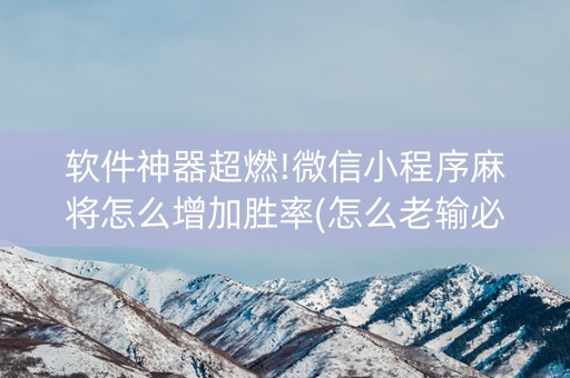软件神器超燃!微信小程序麻将怎么增加胜率(怎么老输必备神器)