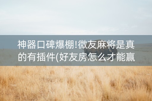神器口碑爆棚!微友麻将是真的有插件(好友房怎么才能赢)
