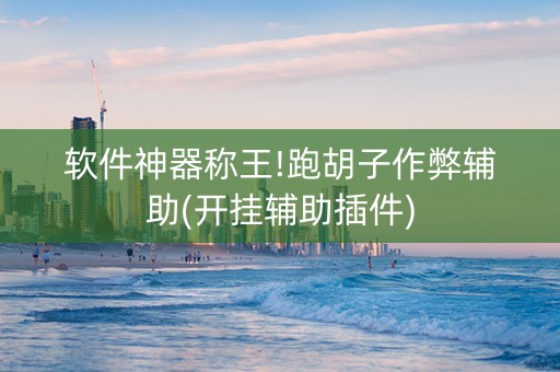 软件神器称王!跑胡子作弊辅助(开挂辅助插件)
