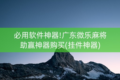 必用软件神器!广东微乐麻将助赢神器购买(挂件神器)