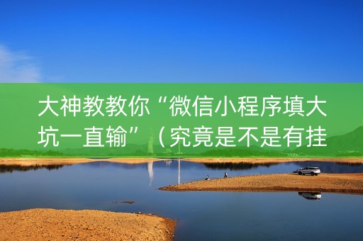 大神教教你“微信小程序填大坑一直输”（究竟是不是有挂)
