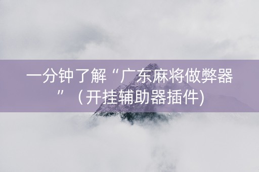 一分钟了解“广东麻将做弊器”（开挂辅助器插件)