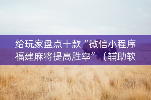 给玩家盘点十款“微信小程序福建麻将提高胜率”（辅助软件)