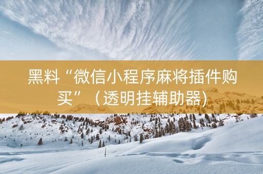 黑料“微信小程序麻将插件购买”（透明挂辅助器)