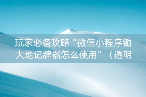 玩家必备攻略“微信小程序锄大地记牌器怎么使用”（透明挂辅助器)