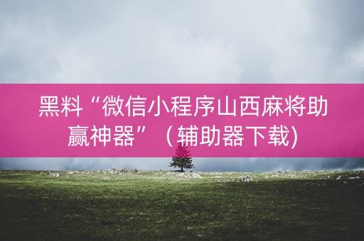 黑料“微信小程序山西麻将助赢神器”（辅助器下载)