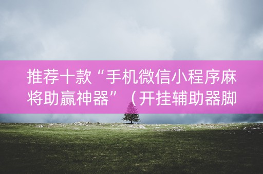 推荐十款“手机微信小程序麻将助赢神器”（开挂辅助器脚本)