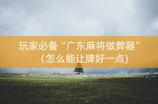 玩家必备“广东麻将做弊器”（怎么能让牌好一点)