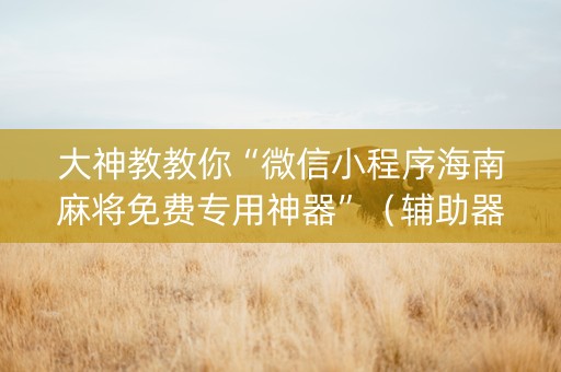 大神教教你“微信小程序海南麻将免费专用神器”（辅助器通用版)