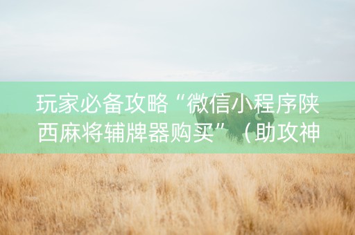 玩家必备攻略“微信小程序陕西麻将辅牌器购买”（助攻神器)