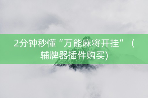 2分钟秒懂“万能麻将开挂”（辅牌器插件购买)