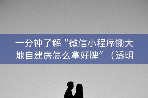 一分钟了解“微信小程序锄大地自建房怎么拿好牌”（透明器教程)