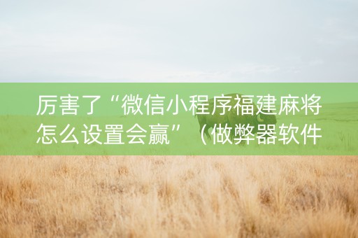 厉害了“微信小程序福建麻将怎么设置会赢”（做弊器软件下载)