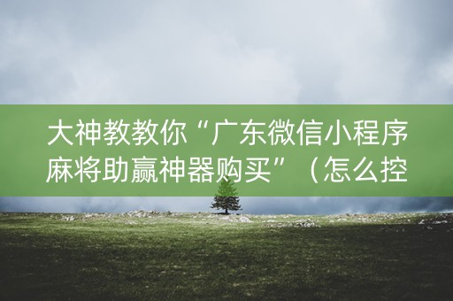 大神教教你“广东微信小程序麻将助赢神器购买”（怎么控制输赢)