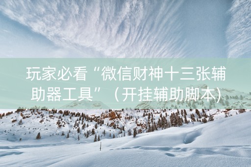 玩家必看“微信财神十三张辅助器工具”（开挂辅助脚本)
