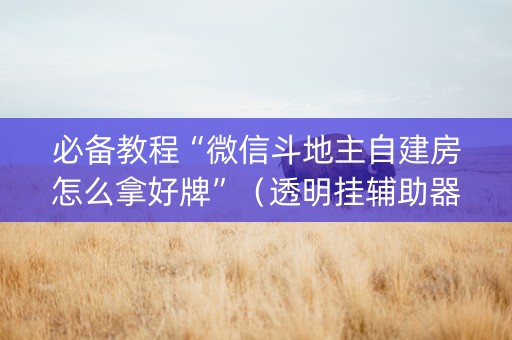 必备教程“微信斗地主自建房怎么拿好牌”（透明挂辅助器)