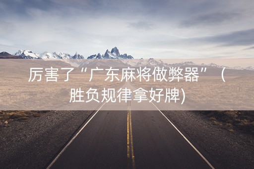 厉害了“广东麻将做弊器”（胜负规律拿好牌)