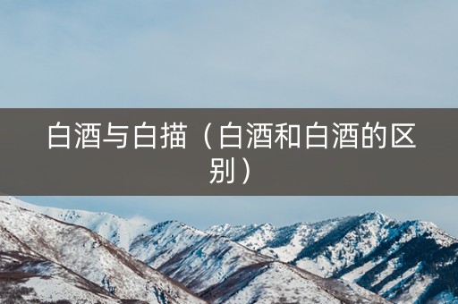 白酒与白描（白酒和白酒的区别）