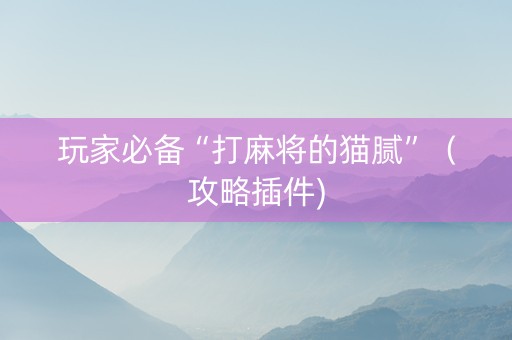 玩家必备“打麻将的猫腻”（攻略插件)