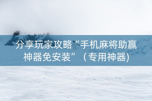 分享玩家攻略“手机麻将助赢神器免安装”（专用神器)