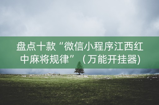 盘点十款“微信小程序江西红中麻将规律”（万能开挂器)
