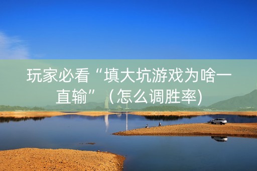 玩家必看“填大坑游戏为啥一直输”（怎么调胜率)