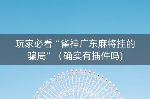 玩家必看“雀神广东麻将挂的骗局”（确实有插件吗)