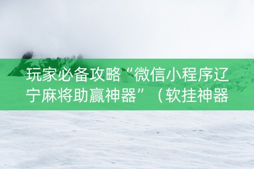 玩家必备攻略“微信小程序辽宁麻将助赢神器”（软挂神器)