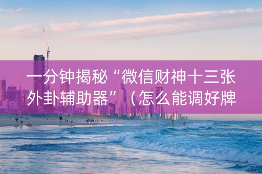 一分钟揭秘“微信财神十三张外卦辅助器”（怎么能调好牌)