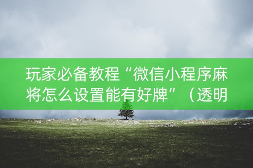 玩家必备教程“微信小程序麻将怎么设置能有好牌”（透明挂辅助器)