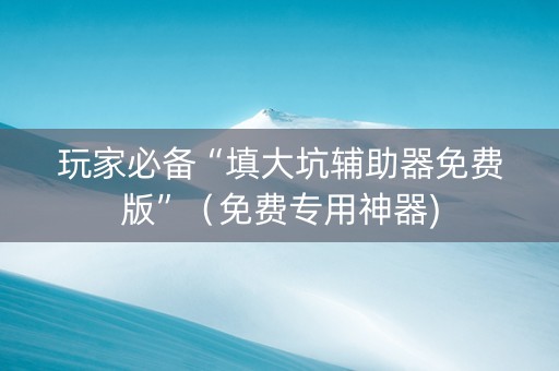 玩家必备“填大坑辅助器免费版”（免费专用神器)