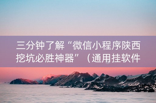 三分钟了解“微信小程序陕西挖坑必胜神器”（通用挂软件多少钱)