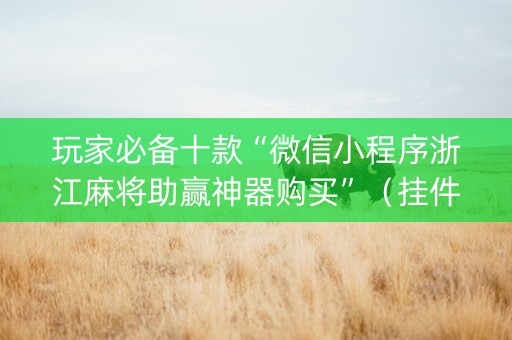 玩家必备十款“微信小程序浙江麻将助赢神器购买”（挂件神器)