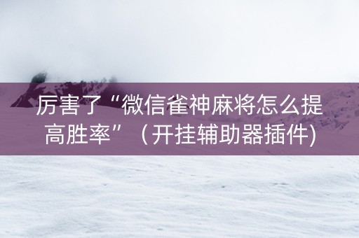 厉害了“微信雀神麻将怎么提高胜率”（开挂辅助器插件)