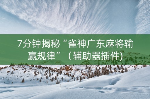 7分钟揭秘“雀神广东麻将输赢规律”（辅助器插件)