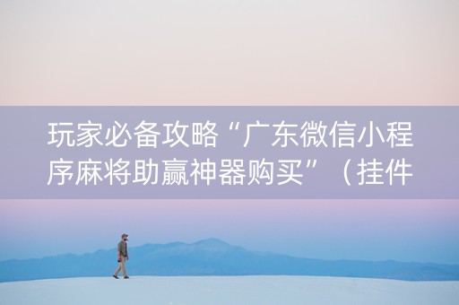 玩家必备攻略“广东微信小程序麻将助赢神器购买”（挂件神器)