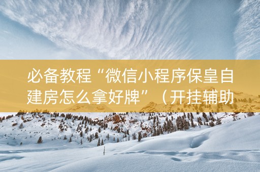 必备教程“微信小程序保皇自建房怎么拿好牌”（开挂辅助脚本)