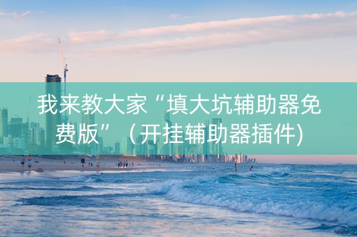 我来教大家“填大坑辅助器免费版”（开挂辅助器插件)