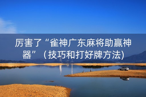 厉害了“雀神广东麻将助赢神器”（技巧和打好牌方法)