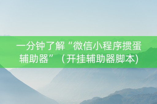 一分钟了解“微信小程序掼蛋辅助器”（开挂辅助器脚本)