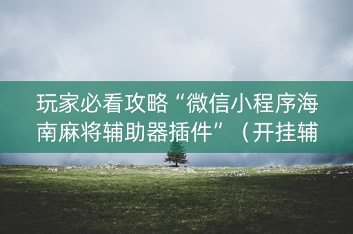 玩家必看攻略“微信小程序海南麻将辅助器插件”（开挂辅助器插件)