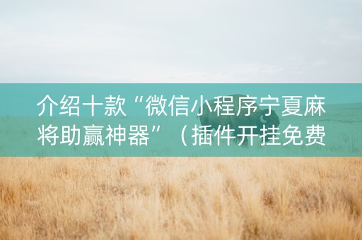 介绍十款“微信小程序宁夏麻将助赢神器”（插件开挂免费AI)