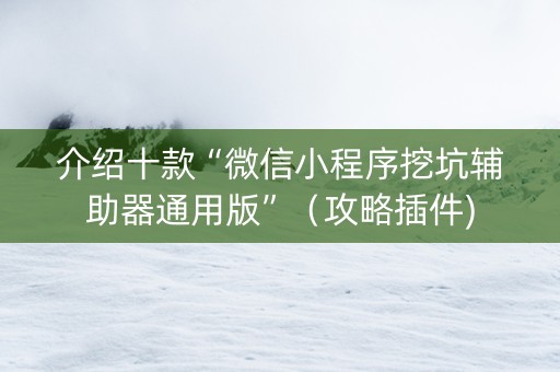 介绍十款“微信小程序挖坑辅助器通用版”（攻略插件)