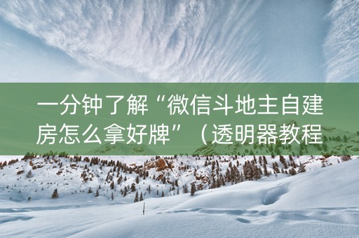 一分钟了解“微信斗地主自建房怎么拿好牌”（透明器教程)