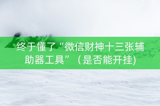 终于懂了“微信财神十三张辅助器工具”（是否能开挂)