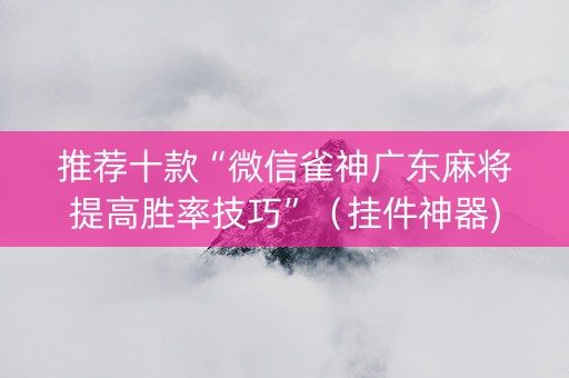 推荐十款“微信雀神广东麻将提高胜率技巧”（挂件神器)