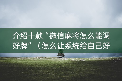 介绍十款“微信麻将怎么能调好牌”（怎么让系统给自己好牌)